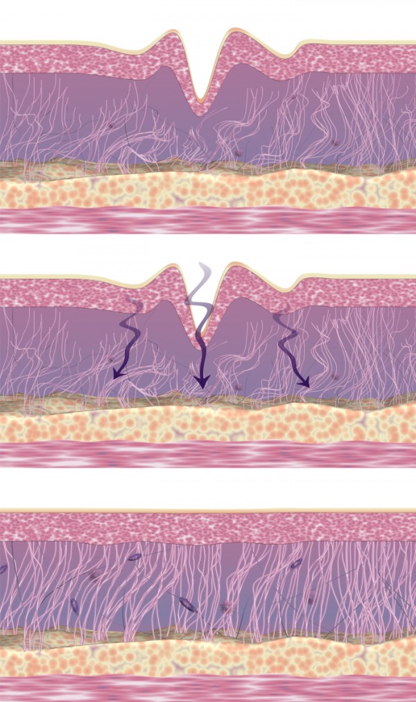 9b26c1102f925559e5a41e6ab83aa982_1744349965_2937.jpg